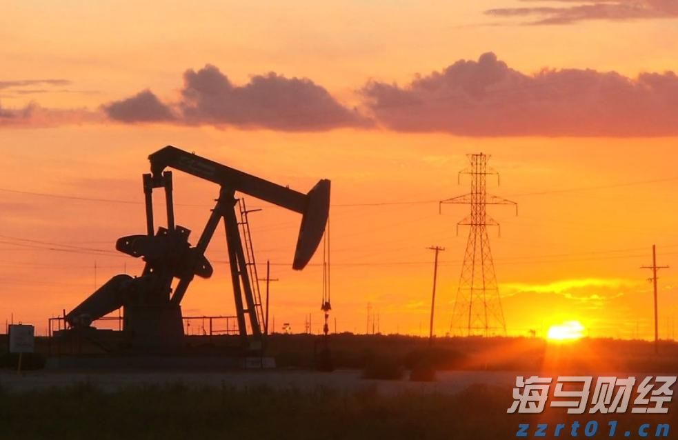 伽师新梅闪耀千灯湖